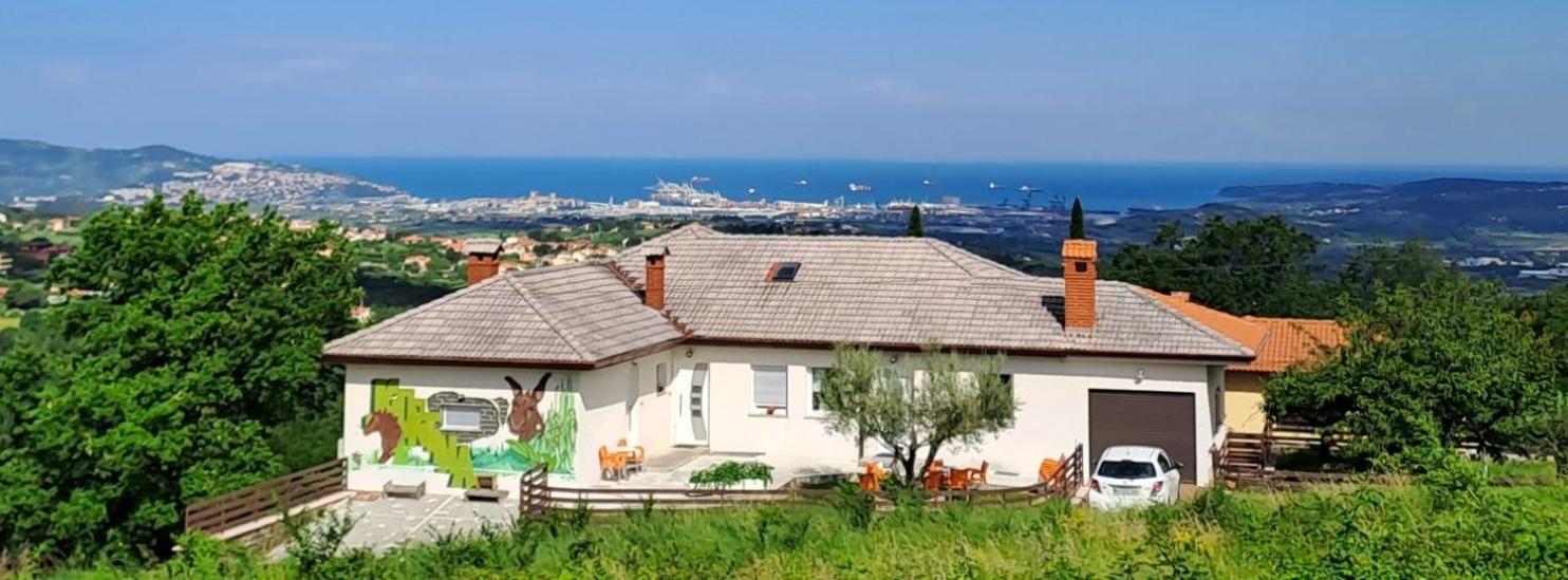 Apartments Souranded By Forest With Sea View Koper Exterior photo