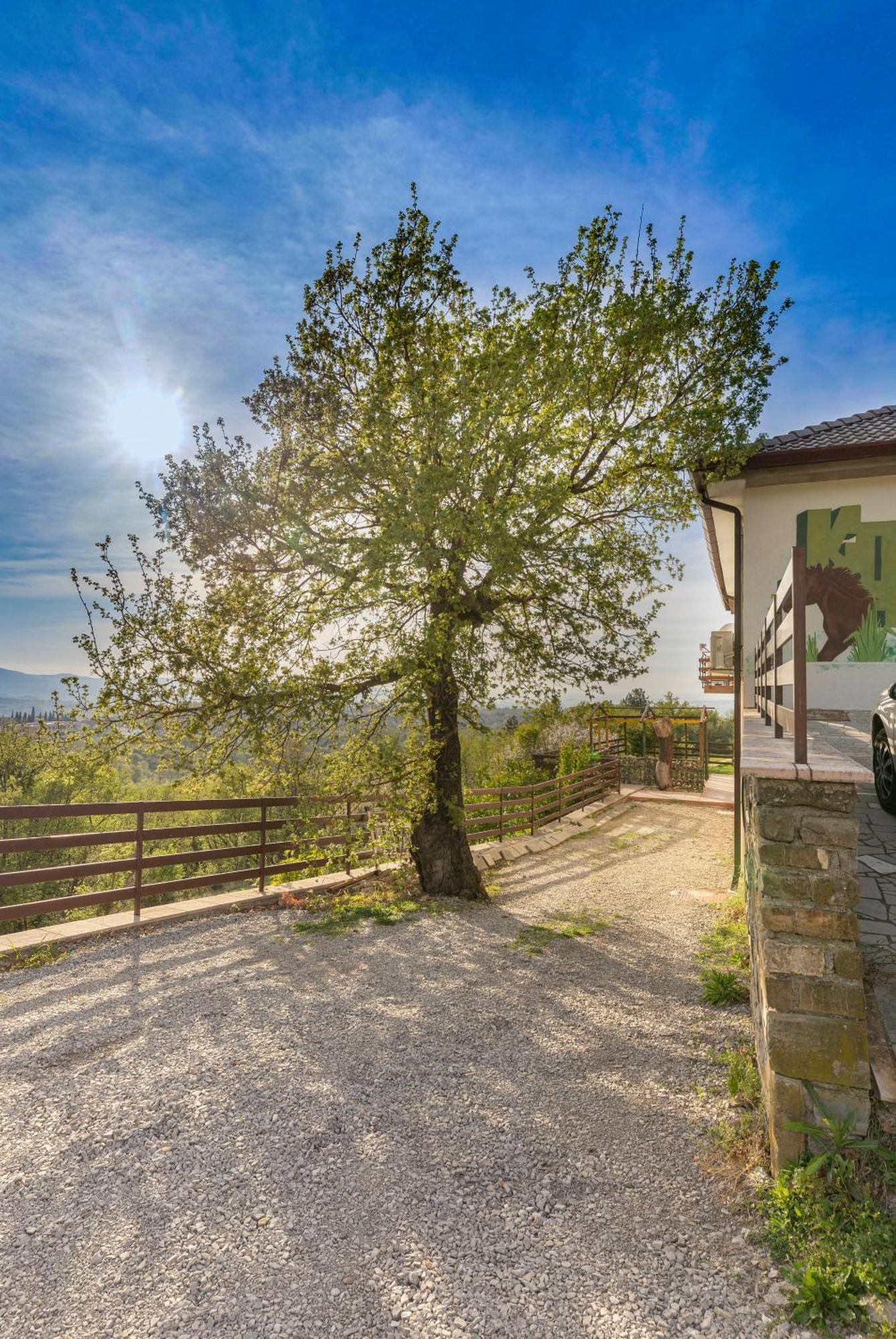 Apartments Souranded By Forest With Sea View Koper Exterior photo